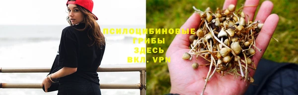 мяу мяу мука Балахна