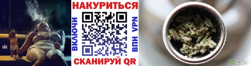 Бошки Шишки план  закладки  Богучар 